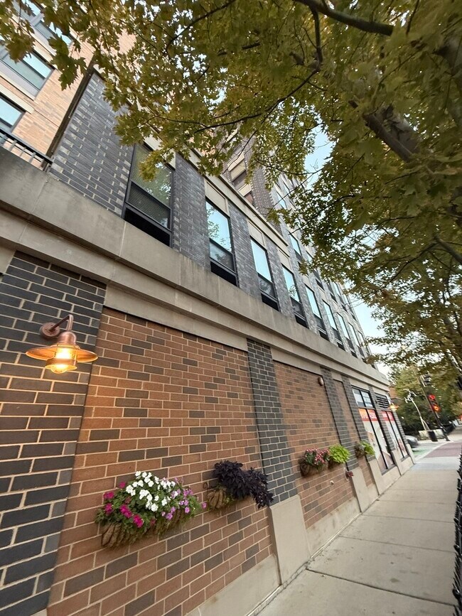 Foto del edificio - 1501 W Belmont Ave