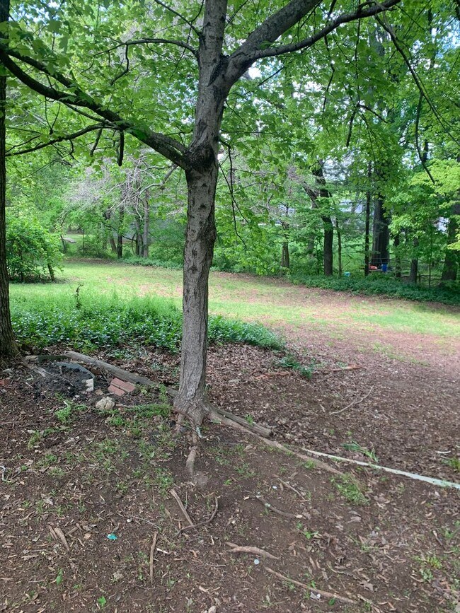 Building Photo - 3 Bedroom 1 bath home located in Salisbury.