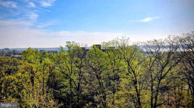 Building Photo - 5903 Mt Eagle Dr