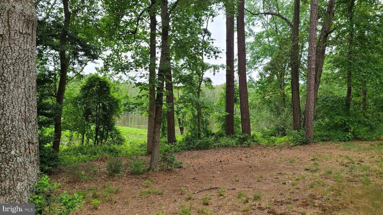 Foto principal - 5241 River Rd