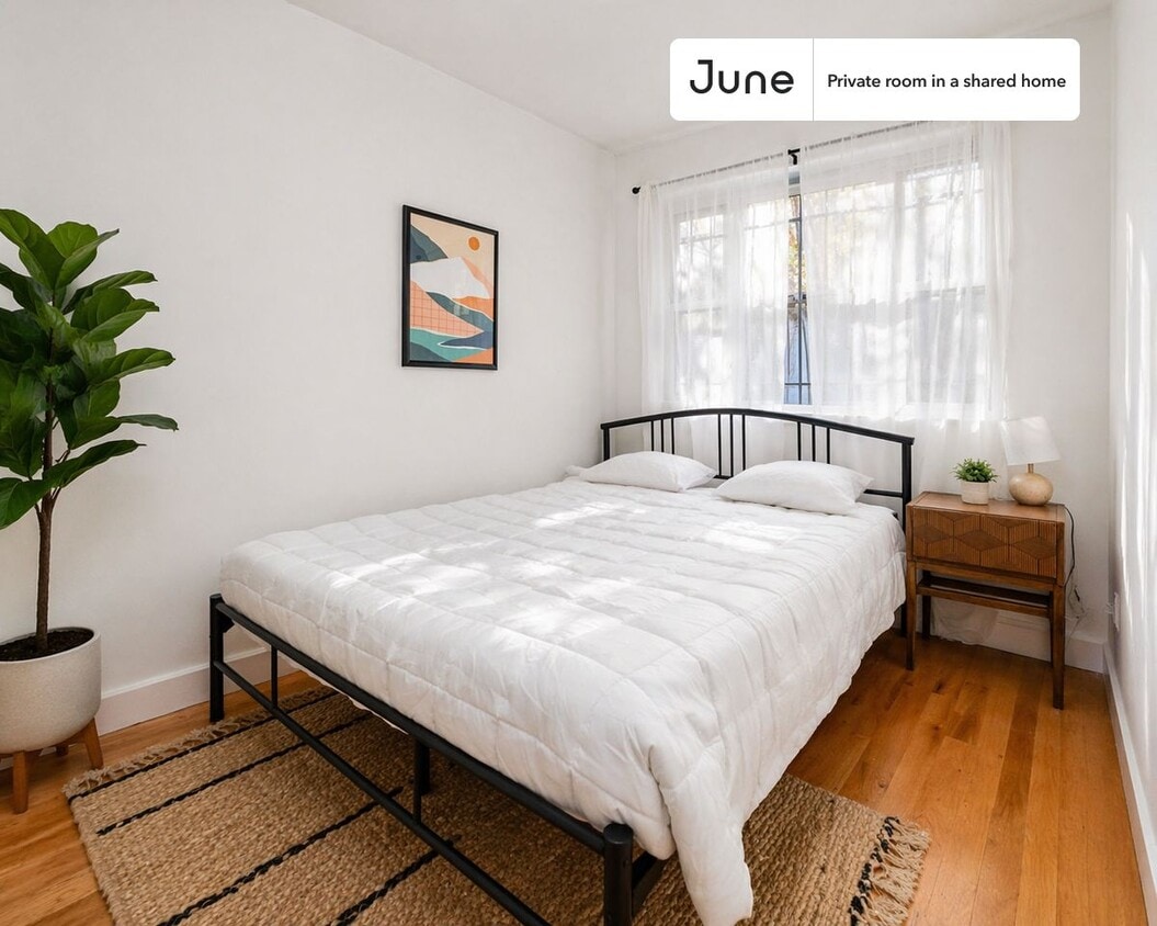 Room in Shared 3 bed/1 bath home - Room in Shared 3 bed/1 bath home