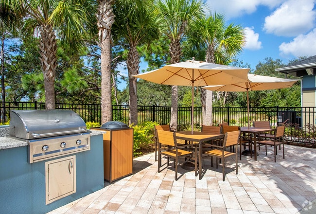 Community BBQ Area (Main Building) - Hammock Ridge, II