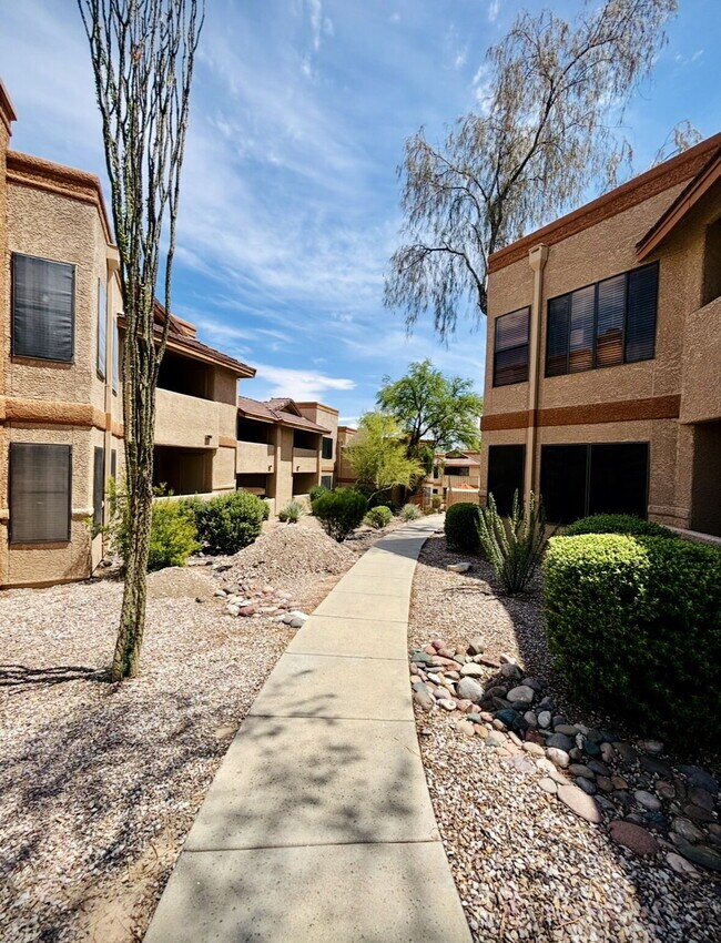Building Photo - "Discover Modern Comfort: 2-Bed, 2-Bath in Tucsons Foothills “