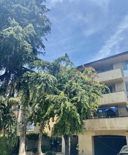 Building Photo - 244 S La Fayette Park Pl