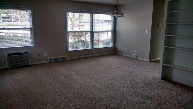 Plush neutral carpet/Custom Blinds - 36663 Woodward Ave
