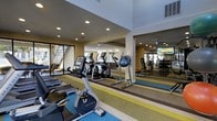 This fitness center offers a thoughtfully designed workout space spread across a single level. The room is anchored by a vibrant striped carpet in shades of blue, green, and brown, adding energy and visual interest to the environment. Recessed lighting throughout the ceiling ensures the space is well-lit, complementing the bright, open atmosphere.

The cardio section is prominently featured and includes a lineup of Matrix-brand equipment such as upright bikes, elliptical trainers, and treadmills, all arranged to allow comfortable spacing between users. A mirrored wall on one side of the room visually expands the space and allows exercisers to monitor their form, while also reflecting a mounted flat-screen television for entertainment during workouts. A ceiling fan is visible in the mirrored section, contributing to airflow and comfort.

The strength training area is positioned toward the rear of the space, furnished with free weights and additional equipment. Large windows along one wall allow natural light to filter in, offering views of an adjacent outdoor staircase and exterior area. The overall ambiance is clean, modern, and functional, making it a practical and inviting environment for fitness enthusiasts.