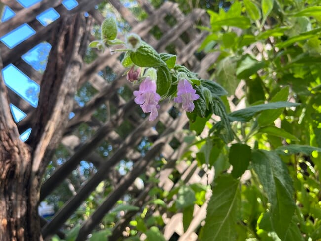 Building Photo - 23321 Ida Pl