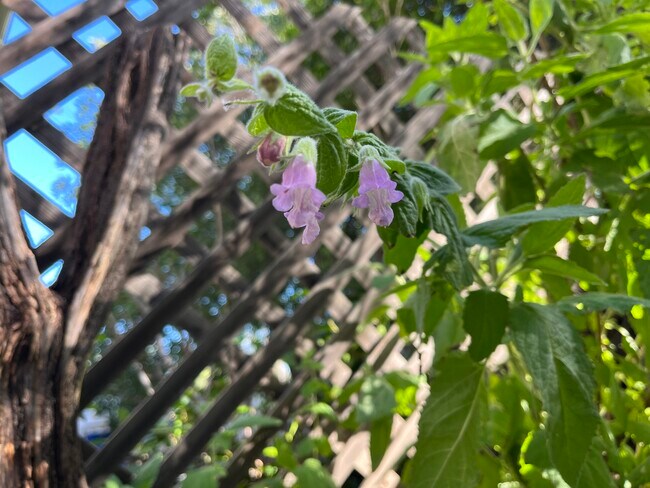 Foto del edificio - 23321 Ida Pl