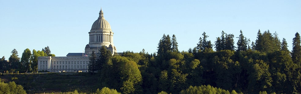 Picture of Olympia