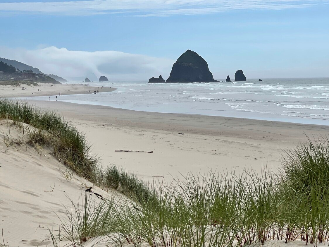 596 Antler Rd, Cannon Beach, OR 97110 House Rental in Cannon Beach