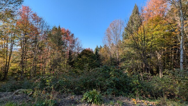 Autumn view from your patio - 221 Deans Mountain Rd