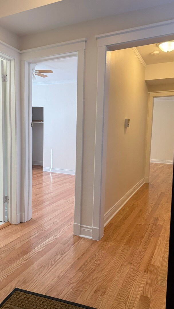 2106 W Wilson Ave Unit 2, Chicago, IL 60625 Apartments in Chicago, IL