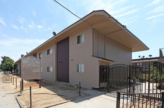 Building Photo - Terre at 1019 Peach