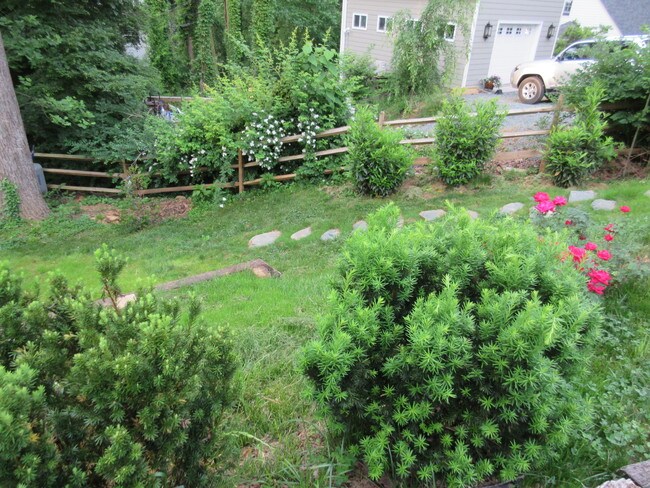 Patio - 104 Buckingham Rd