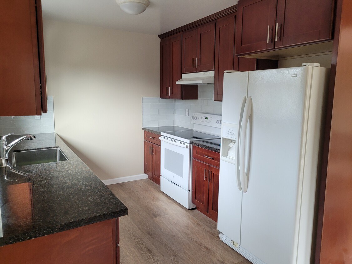 Kitchen, brand new renovation - 571 Kiely Blvd
