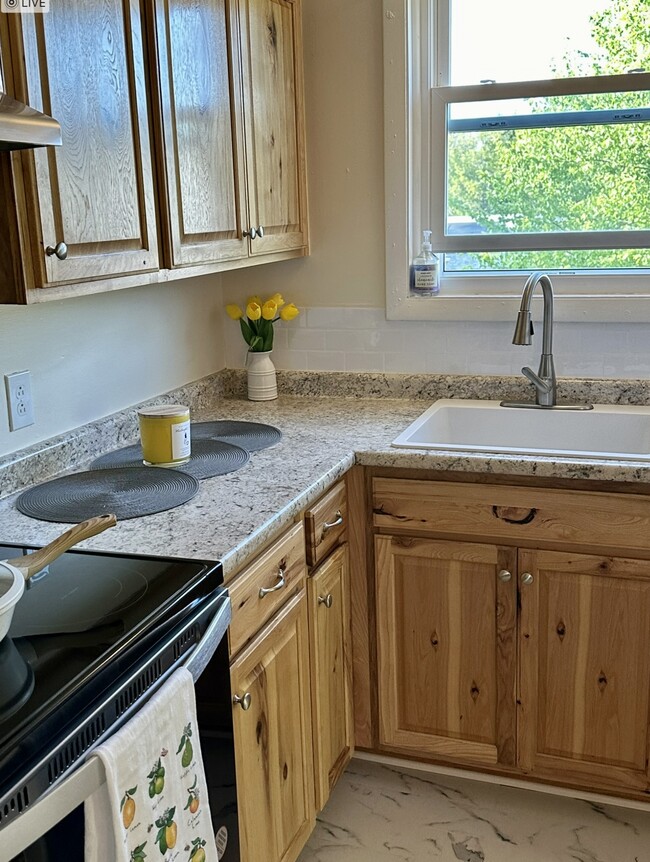 Kitchen - 91 Faith St