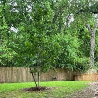 Foto del edificio - 3411 Hideaway Ln