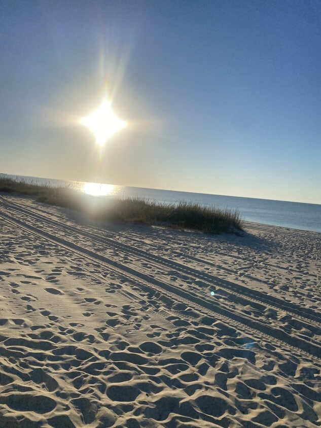 Photo - 279 Caillavet St (Biloxi, MS)