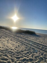 Building Photo - 279 Caillavet St