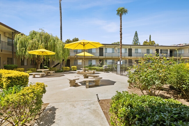 Building Photo - Villa Rosa