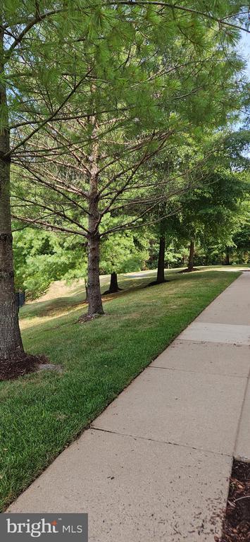 Foto del edificio - 12332 Rollys Ridge Ave