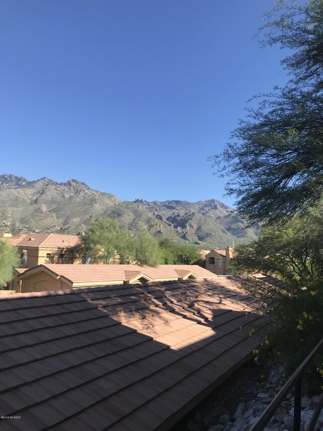 Foto del edificio - 7050 E Sunrise Dr