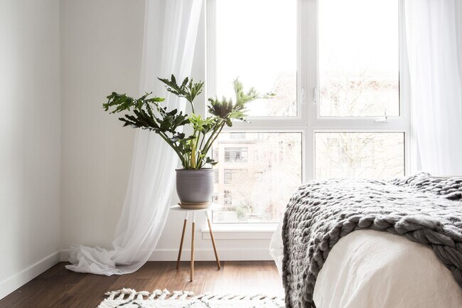 Foto del interior - The Celine