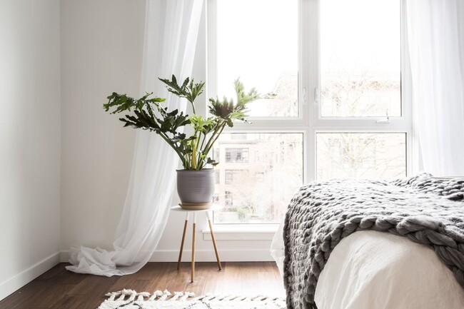 Interior Photo - The Celine