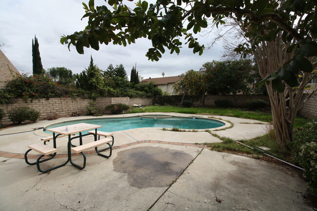 Pool and Large Yard. Fruit Trees - 20252 Elkwood St