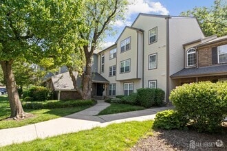 Building Photo - 6072 Cedar Ct