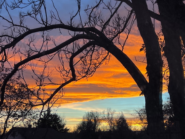 Foto del edificio - 105 E 12th St