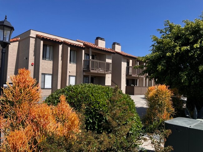 Building Photo - The Vine Apartments