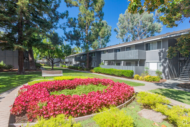 Edificio - Cherrywood Apartments