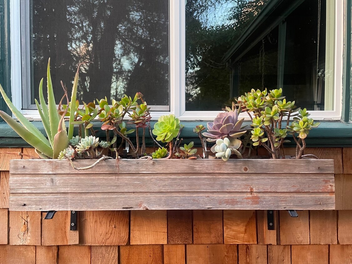 Planter box in front - 2423 Roosevelt Ave
