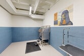 Located at 8 S Sixth St in Council Bluffs, Iowa, this dedicated pet grooming room is a single, efficiently designed space built to support professional animal care. The room features two-tone painted concrete block walls — white above and blue below — providing a clean, durable finish well-suited to a high-use grooming environment. The light-colored seamless floor is complemented by anti-fatigue rubber mats positioned near key work areas for safety and comfort.

Central to the room is a stainless steel elevated bathing tub with an integrated step for easy pet access, complete with attached plumbing fixtures and supply holders. A wall-mounted pet dryer is conveniently positioned nearby, along with a grooming arm and table for finishing work. Anti-slip rubber matting is placed throughout the functional zones. Cleaning tools, including mops, brooms, and a utility bin, are neatly organized along one wall, reflecting the room's emphasis on hygiene and efficient workflow.

Overhead, exposed piping and conduit run across the white ceiling alongside bright fluorescent strip lighting that ensures thorough illumination across the entire workspace. A blue-painted door with a windowed panel provides access to adjoining areas. A whimsical mural of a dog dressed in judicial robes adds a distinctive, lighthearted character to the otherwise functional space.
