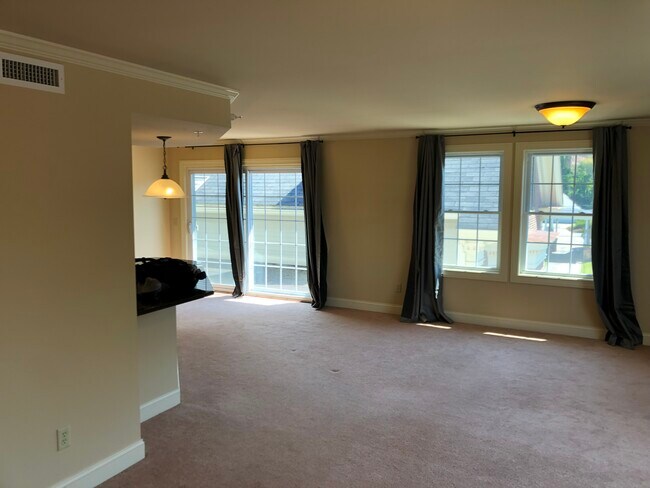 Living Room - 81 S Williams St