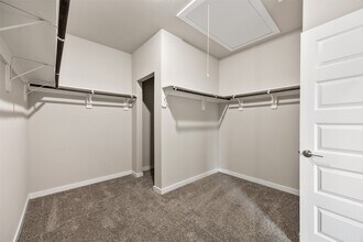 Building Photo - 7514 Sonora Star Ln