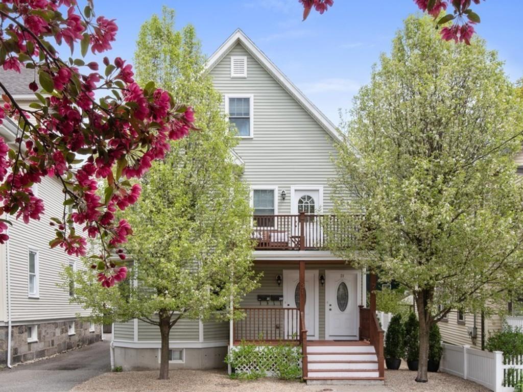 Primary Photo - 31 Arden St