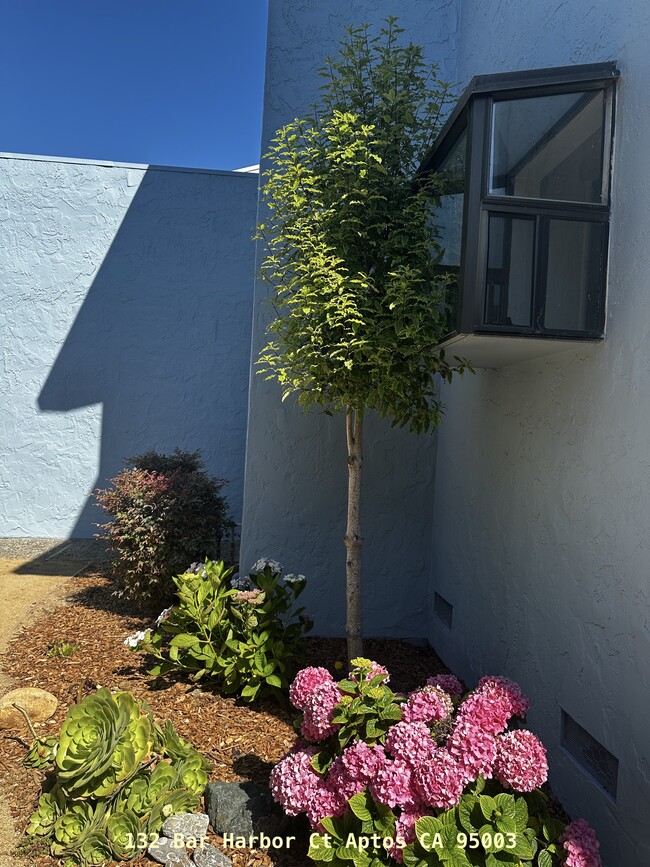 Front Hydrangea - 132 Bar Harbor Ct
