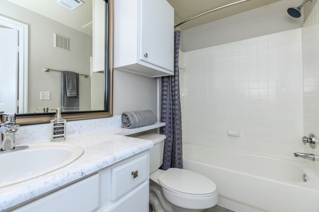 Modern Bathroom Design at The Woods of Five Mile Creek in Dallas, TX - The Woods Of Five Mile Creek