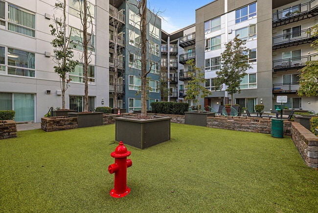 Building Photo - Belcarra