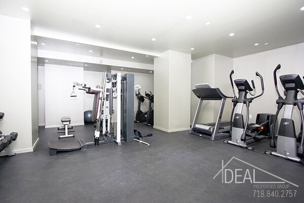 Foto del edificio - Superb, New 1BR in Bed-Stuy!