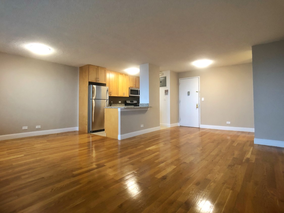 Large living room - 1133 Ogden Ave