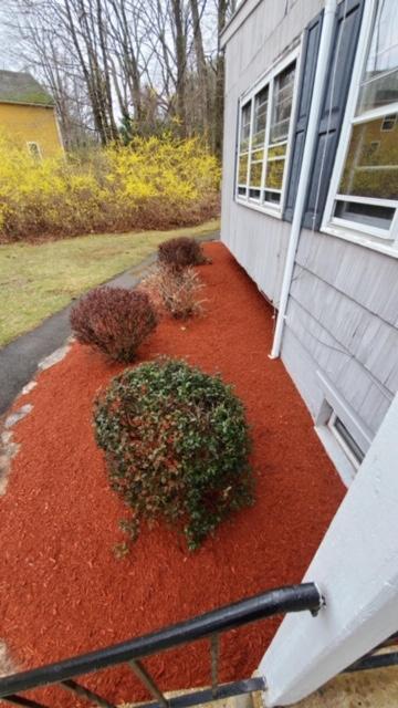 Professionally Landscaped - 1 Minnesota Rd