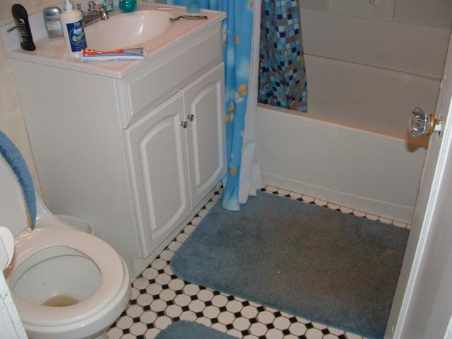 Building Photo - 60 Egmont St