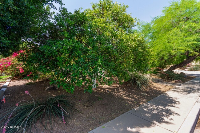Building Photo - 1347 W Lobo Ave