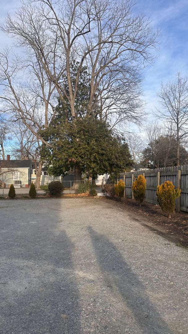 Foto del edificio - 407 St Andrew St