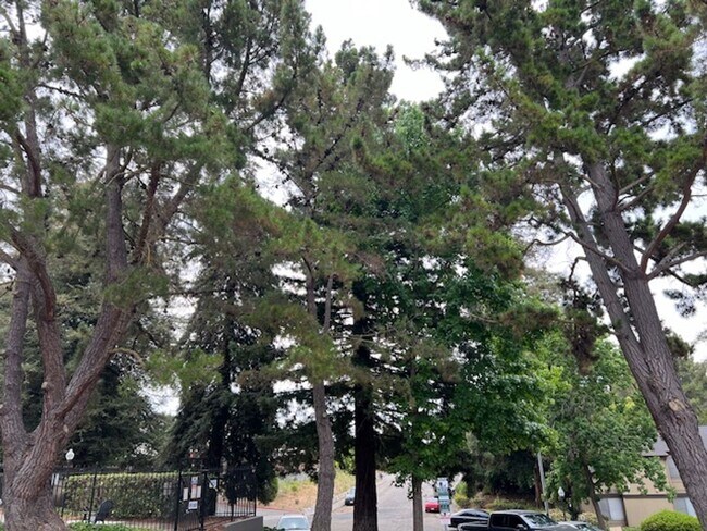 Foto del edificio - Beautifully remodeled 1 bedroom & 1 bath unit near Six Flags in Vallejo