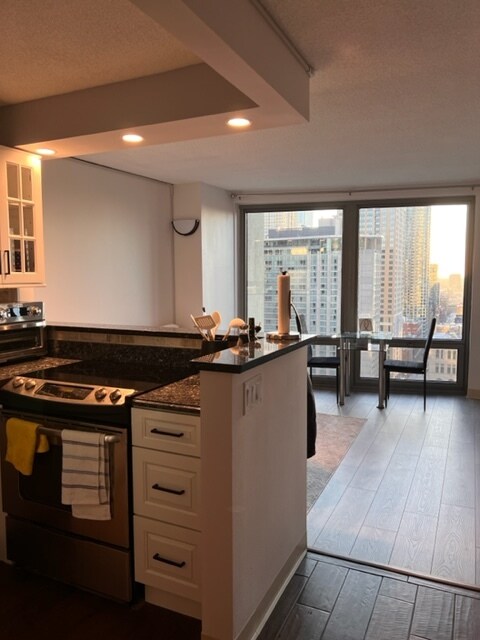 Vista desde la cocina - 440 N Wabash Ave