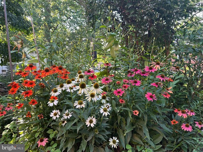 Building Photo - 3733 Gunston Rd